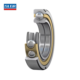 Rolling Bearing